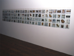 vardy gallery 2004 - V SMALL
