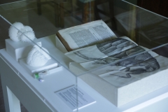 Micrographia and 3d Foram l models made by Bristol University for exhibition at Blickling Hall