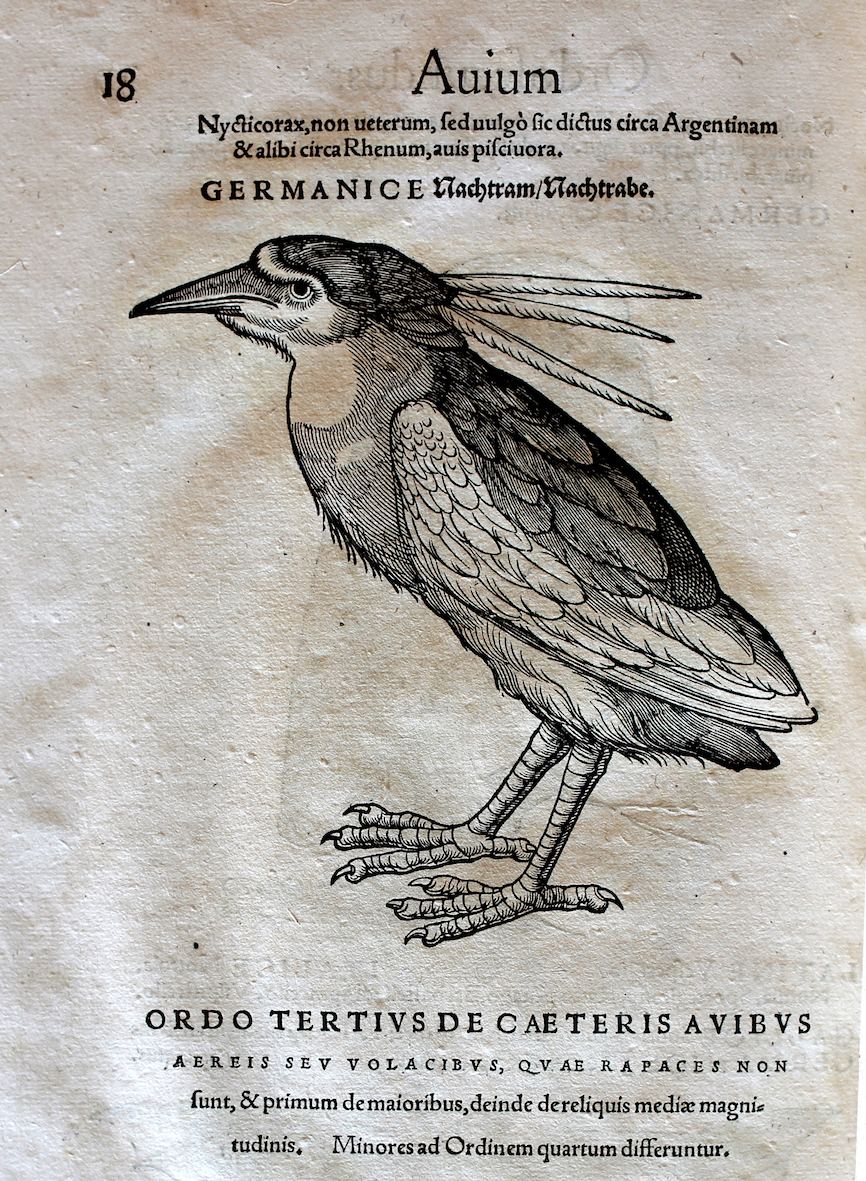 Konrad Gesner, Historia Animalium